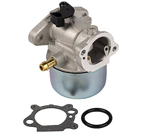 Carkio 799868 Vergaser mit Dichtung und O-Ring, Ersatz Compatible with Briggs & Stratton 498170 498254 497347 497314 Vergaser