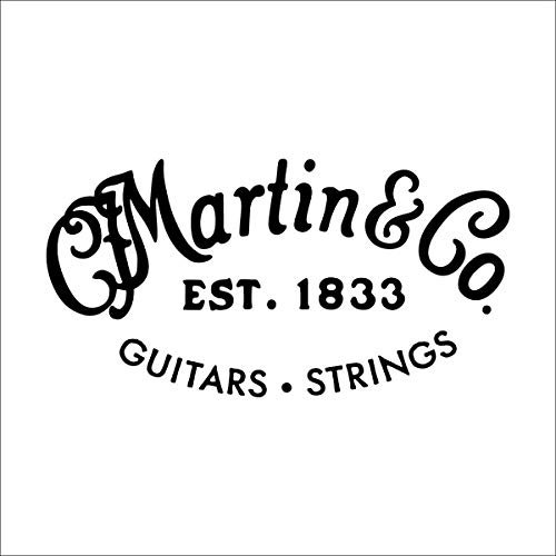 MARTIN corde acoustique SP acier plein .010 (M10HTT)