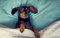 LHJOYSP rätsel Puzzle 3D Puzzle 1000 Teile Hund Dackel 75x50cm
