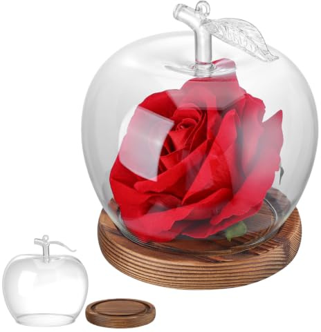 ibasenice Glass Display Dome with Wood Base, 6.3 Inch Clear Cloche Bell Jar | Preserved Flowers, Succulents, Fairy Lights, Collectibles, Dustproof Showcase for Home Decor, Valentine's Day Gift