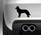 South Coast Stickers Border Collie Sticker Funny Bumper Sticker CAR Van 4X4 Window PAINTWORK Decal Euro Left Hand Drive