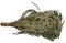 Finnischer Eukalyptus-Quast Vihta