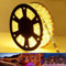 100ft LED Rope Lights Outdoor, 720 LED Connectable and Flexible Tube Lights with 8 Modes, Waterproof LED Rope Lighting for Garden, Patio, Pool, Bedroom, Party, Indoor Outdoor Decoration (Warm White)