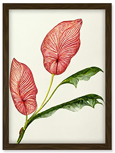 Doppelganger33 LTD Pink Laceleaf Tropical Leaf Anthurium Botanical Artwork Framed Wall Art Print A4