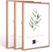 3x Kunststoffrahmen modern Bilderrahmen, (30 X 40 cm) Rosegold