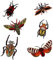 Stickerei, Käfer, Schmetterling, Insekten, Applikation, Stoff, Patches, Badge, DIY, Basteln für Jeans Kleidung, Dekorations-Nähen, TH887, 1 Set/6 Stück B