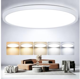 Oumida Plafon LED Techo Regulable, Lampara de Techo LED 24W 2400LM,5 Colores IP44 Delgada Lampara para Dormitorio Cocina Salon Baño Comedor Pasillo Ø30cm(30cm*1)