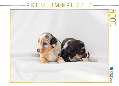 CALVENDO Puzzle EIN Motiv aus dem Kalender Border Welpen | 1000 Teile Lege-Größe 64 x 48 cm Foto-Puzzle für glückliche Stunden