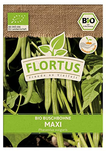 FLORTUS BIO Buschbohne Maxi | Gemüsesamen | Bohnensamen | Buschbohnensamen | Samen zur Anzucht für Garten, Balkon, Küche & Fensterbank