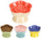 S&Q's CERAMICS Raised Slow Feeder Cat Bowl, Ceramic Glass Elevated Pet Food Bowl Small Dogs Slow Feeder, Flower Shaped Cute Dish for Dry and Wet Food (Orange, 5.8)