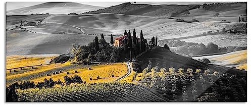 Pixxprint Glasbild Panorama, Wandbild aus Echtglas, Toskana Landschaft mit Feldern, 100x40 cm, inkl. Aufhängung und Abstandshalter