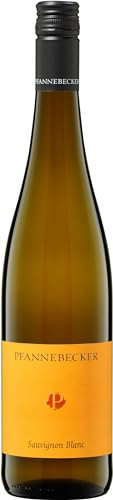 Weingut Pfannebecker Sauvignon Blanc Bio-Wein trocken (1 x 0.75 l)