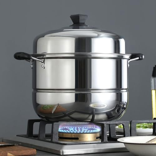 Professional Double-layer Steamer, Stainless Steel Steamer Cooker Pot,3 Tier Layer Pan Cook Food with Glass Lids For Cookers And Gas Stoves(26cm)