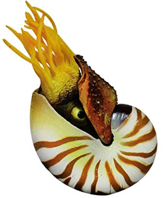 Alipis Dekorationen für Aquarien Living Room Decoration wohnzimmerdeko Simulation Nautilus Aquarium-Ornament Aquariumdekorationen Nautilus-Schale Aquarienverzierung Fisch Tank Muscheln