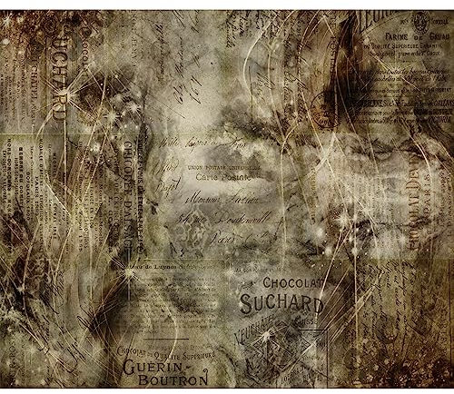 murando PREMIUM Fototapete Retro 350x256 cm Vlies Tapeten Wandtapete XXL Moderne Wanddeko Design Wand Dekoration Wohnzimmer Schlafzimmer Vintage Zeitung Aufschriften a-C-0176-a-a