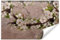 Muralo - 3D Tapete Vliestapete - Fototapete 3D Effekt - Tapete für Wohnzimmer Schlafzimmer Wandtapete - Fototapete - Kirschblüten Motiv - Br.520cm x Hö.318cm