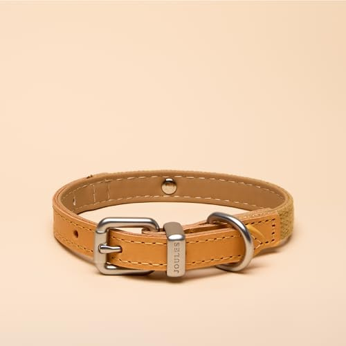 Rosewood x Joules Hundehalsband, klein, strapazierfähiges Leder und Gurtband, stilvolles Design mit gebürsteter Metallschnalle, hochwertiges Haustierzubehör