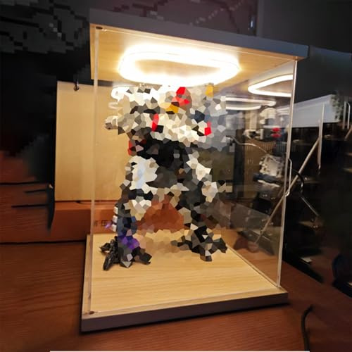 QHZYMX Staubdichte Acryl-Vitrine Mit Beleuchtung, Transparente Aufbewahrungsboxen Erinnerungsstücke, Abnehmbare Thekenaufsätze Und Stapelbare Vitrinenboxen(20x20x30cm(8x8x12 inch))