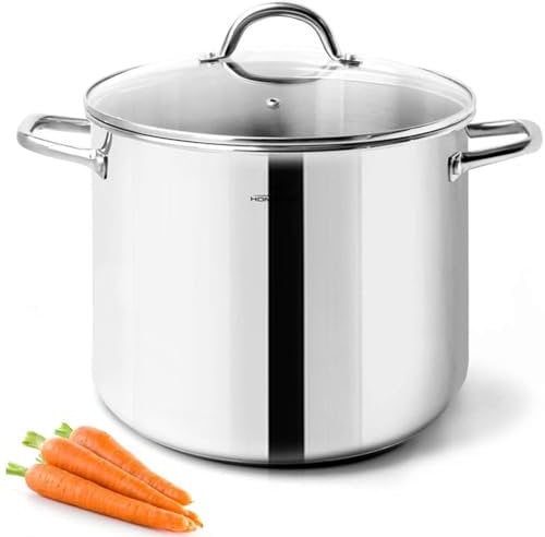HOMICHEF Olla de 24,5 cm y 9,5 litros con tapa de cristal - Olla de acero inoxidable sin níquel de 9,5 litros con asa - Olla de 9,5 litros pulida a espejo - Olla de inducción saludable con tapa