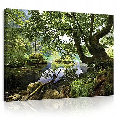 WallArena Leinwand Bilder - Wald Baum Natur Landschaft - 100x75 cm | Leinwandbilder, Bild auf leinwand, Wandbild XXL groß Wandbilder für Wohnzimmer Schlafzimmer Wohnzimmerbilder