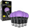 CLAR - Lumiere Noire, Lumiere Noire Soiree Fluo, Ampoule UV, Lumiere UV, Ampoule Lumiere Noire, Lampe Lumiere Noire, Lampe Ultra Violette, Lumiere Noir, Lampe Noire, 10W, Socle Noir (Pack 5)