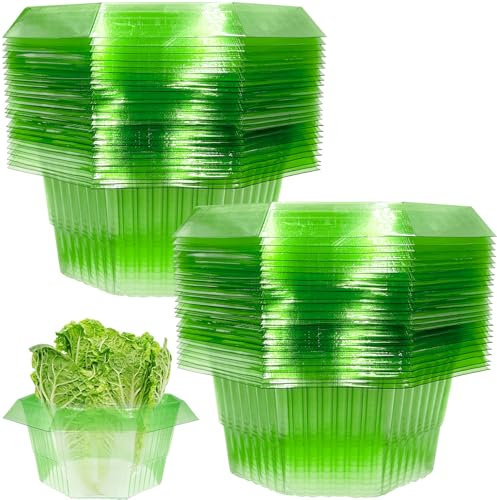 30 Stück Schneckenkragen,Schneckenschutzring Für Salatpflanzen,Schneckenkragen aus Plastik,Schneckenzaun Stabil aus Plastik,Schneckenschutzringe,Schneckenring Garten Effektiver Schneckenschutz