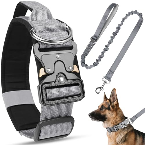 Viugex Collier pour Chien et Laisse, Militaire Collier Réglable Chien Rembourré avec Boucle en Métal Robuste, Respirant Nylon Dog Collar pour Petits, Moyens et Grands Chiens (Gris, XL)