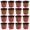 DOITOOL 50 Stück Kunststoff Pflanztöpfe Anzucht Klein Anzuchttöpfe Plastik Blumentopf 12cm Rund Kunststoff Anzuchttöpfe für Pflanzen Blumentöpfe für Sämlinge & Stecklinge (Durchmesser 120 mm)
