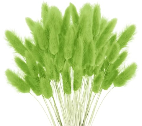 120 PCS Getrocknetes Pampasgras,Trockenblumen Blumenstrauß Deko,Trockenblumen Pampasgras Pflanzen Flauschige Trockenblumen ,Boho Zuhause Dekoration Blumenarrangements(grün)