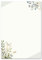 Motivpapier GRÜNE ZWEIGE Einladung - DIN A4 Format 100 Blatt - Blumen & Blüten