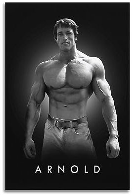 VZRSQZK Arnold Schwarzenegger Poster, dekoratives Gemälde, Leinwand, Wandposter und Kunstdruck, moderne Familienschlafzimmer-Dekoration, Poster, 20 x 30 cm