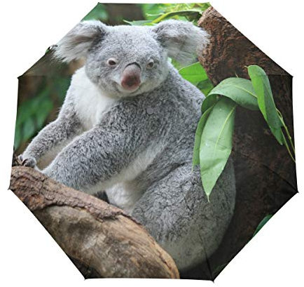 MONTOJ Niedliches Koala-Muster, dreifach gefalteter Regenschirm für Sonne und Regen, UV-Schutz, mit automatischer Öffnungs-Taste