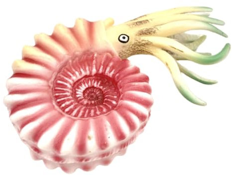 KOMBIUDA Simuliertes Meerestiermodell Nautilus Lebendiges Meerestierspielzeug Meerestier-Ornament Aus Kunststoff