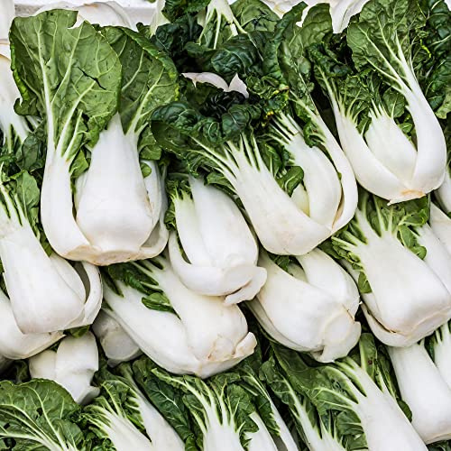 Kitazawa Seed Co Cabbage Seeds Pak Choi Joi Choi Hybrid 1 Gram Non-GMO F1