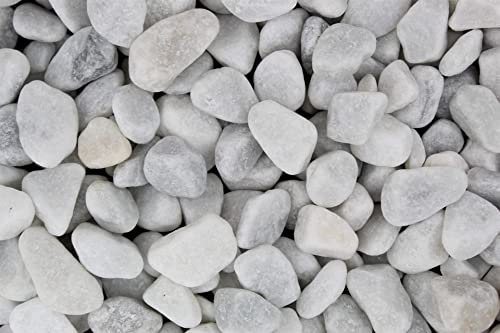 Gartenwelt Riegelsberger Carrara Gravier naturel lavé 1 kg Grain 15-25 mm Gravier décoratif pour jardin ou bassin