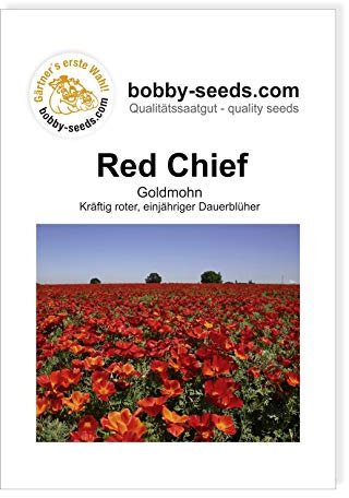 Blumensamen Red Chief Goldmohn Portion