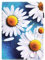 Bspring Hülle für Amazon Kindle 2022/2024 (11. Generation) 6 Zoll Smart Cover Etui mit Standfunktion und Auto Sleep/Wake Funktion,Sonne Blume