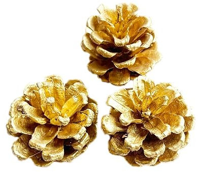 12 Stück Tannenzapfen,Weihnachten Tannenzapfen Dekoration,Natürliche Tannenzapfen Anzapfen Basteln,Christmas Ornaments Christbaumschmuck Weihnachtsschmuck,für Weihnachten Party Deko,Gold 5-6cm