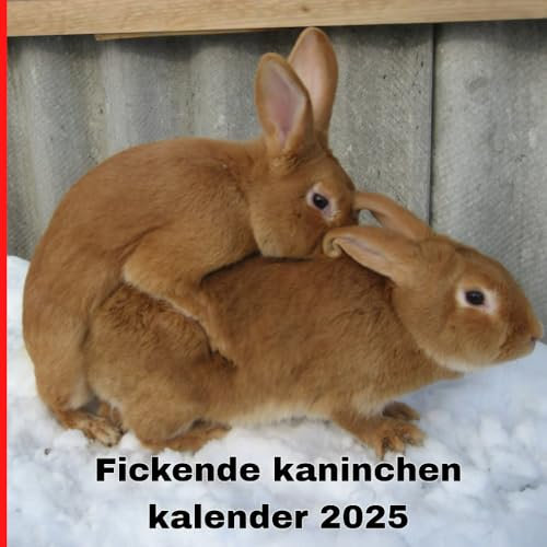 Fickende kaninchen kalender 2025