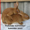 Fickende kaninchen kalender 2025