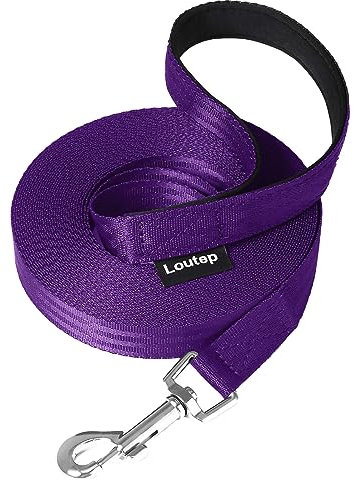 Loutep Trainingsleine für Hunde, 3 m, 5 m, 10 m, 15 m, 20 m, 25 m, 30 m, Starkes Nylonseil, extra Lange Leine, Hundeleine mit gepolstertem Griff für große, mittelgroße und kleine Welpen, Rückruf
