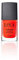 Lola Make Up by Perse Nail Polish Quick Dry Instant Gloss Ultra Long Lasting High Shine Finish Nail Paint for Women, Vegan and Cruelty-Free Cosmetic, Brilliant Red (014), 11ml