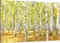 HUBDECO Leinwand Bilder Wohnzimmer - Bilder, Poster, Kunstdrucke - Leinwandbild - Bild auf Leinwand - Tolle Zimmerdekoration - Schlafzimmer Bilder - 120x80 cm Birke Wald