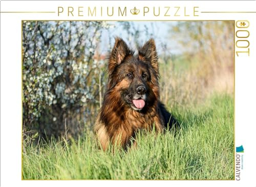 CALVENDO Puzzle EIN toller Begleiter | 1000 Teile Lege-Größe 64 x 48 cm Foto-Puzzle für glückliche Stunden