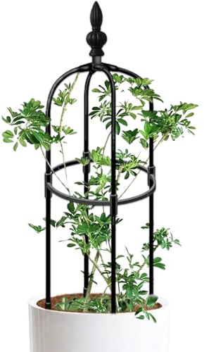 Garten-Obelisk-Spalier 91 cm hoch rund rostfrei Garten-Spalier DIY-Pflanzenklettern einfach zu montierendes Pflanzenspalier für Töpfe Indoor-Kletterpflanzen Pflanzenspalier