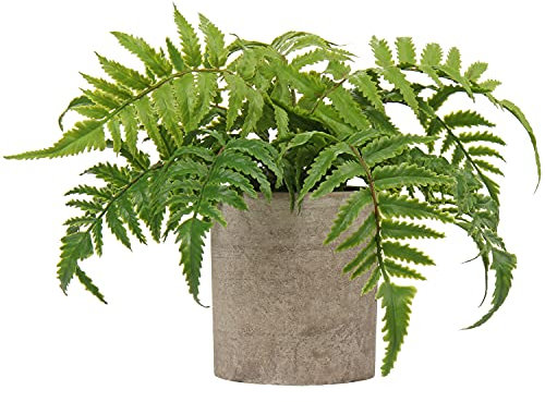 Artificial Boston Fern Plant in Pot Fake Plants Potted, Small Decorative Artificial Plants Indoor, Faux Fern Grass for Home Kitchen Table Bedroom Decorations