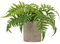 Artificial Boston Fern Plant in Pot Fake Plants Potted, Small Decorative Artificial Plants Indoor, Faux Fern Grass for Home Kitchen Table Bedroom Decorations