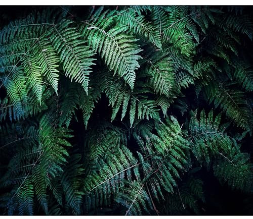 decomonkey - Papier Peint Panoramique Adhésif Palmiers 196x140 cm - Stickers Muraux Salon Chambre Déco XXL Autocollant Murale Maison Décoration Bureau - Gris vert - Feuilles nature plante