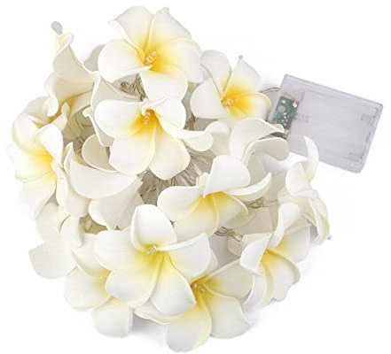 LEDMOMO Lichterkette mit 20 LEDs, Frangipani-Blume, batteriebetrieben, warmweißes Licht