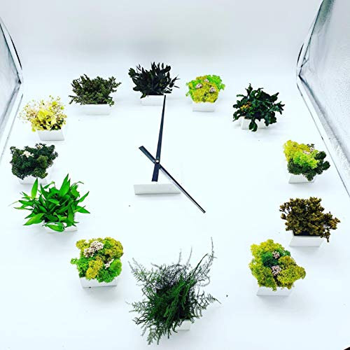 Horloge Végétale Murale